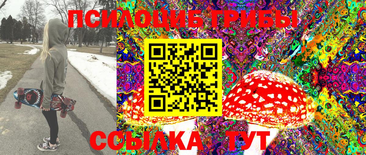 Псилоцибиновые грибы Cubensis  Псилоцибиновые грибы Cubensis  Вход с VPN  купить   Кемерово 
