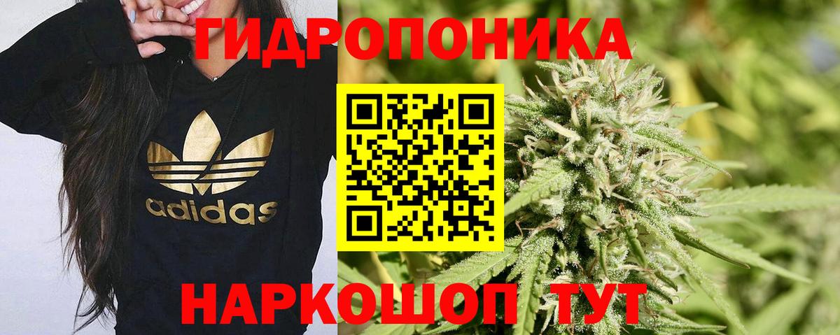 Кемерово  Бошки марихуана MAZAR  Вход с VPN  МАРИХУАНА Bruce Banner  Канабис гибрид 